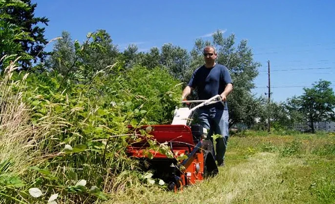 Brush Clearing service in Mobile, AL